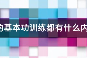 篮球战术训练内容包括哪两类方面